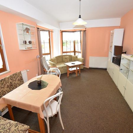 Snug Apartment In Jachymov Near Ski Area Kültér fotó
